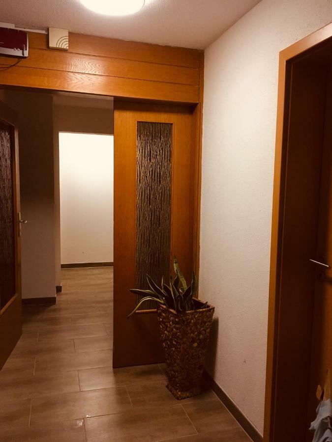 Gasthaus Kaiserhof, Zimmer & Appartament 布特亚丁根 外观 照片